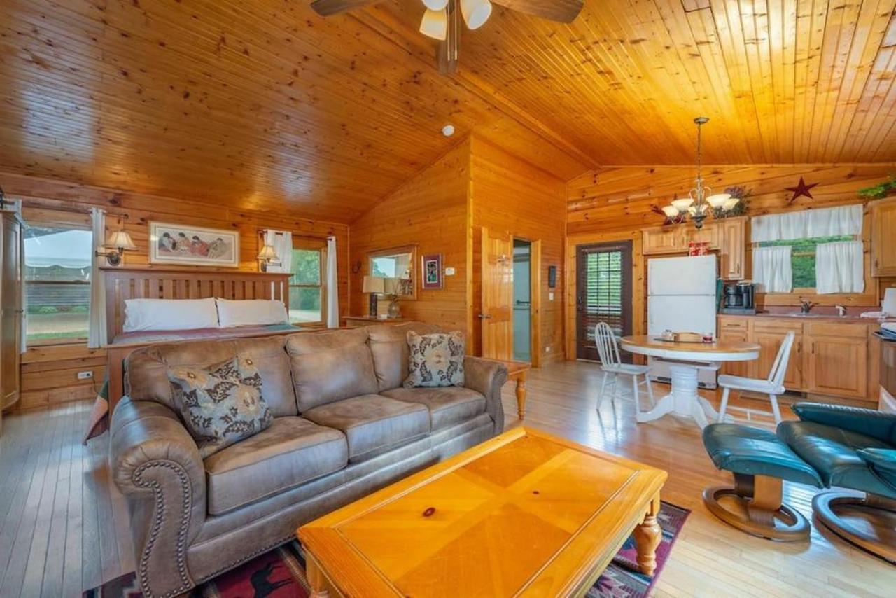 Log Cabin Stunning Mountain Views On 12 Acres Candler Экстерьер фото